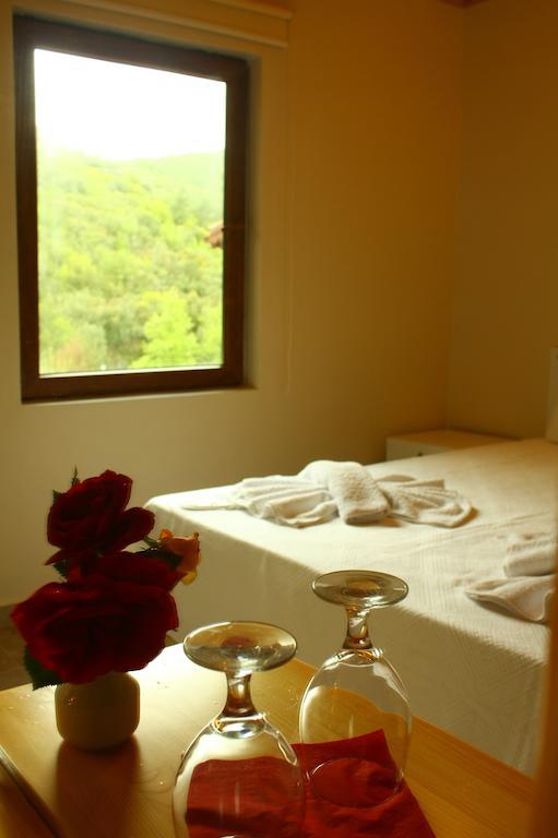 Uyku Vadisi Hotel Agaclihuyuk Phòng bức ảnh